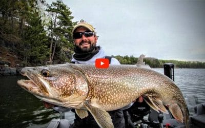 Ice Out Lake Trout