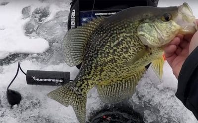 Ice Fishing Breakthroughs