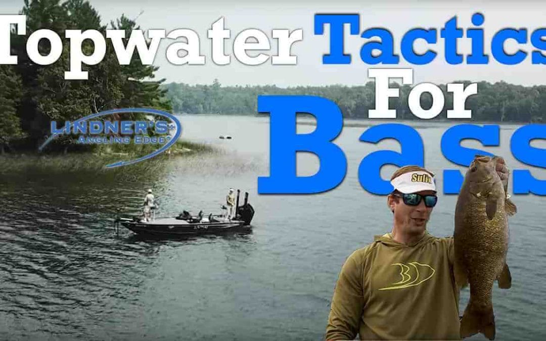 Top Bass Topwater Tactics