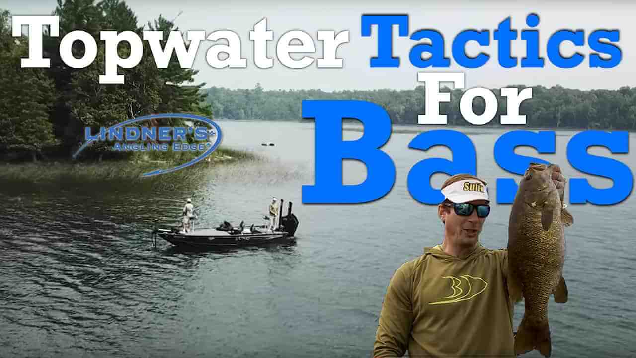 Bass Topwater Tactics