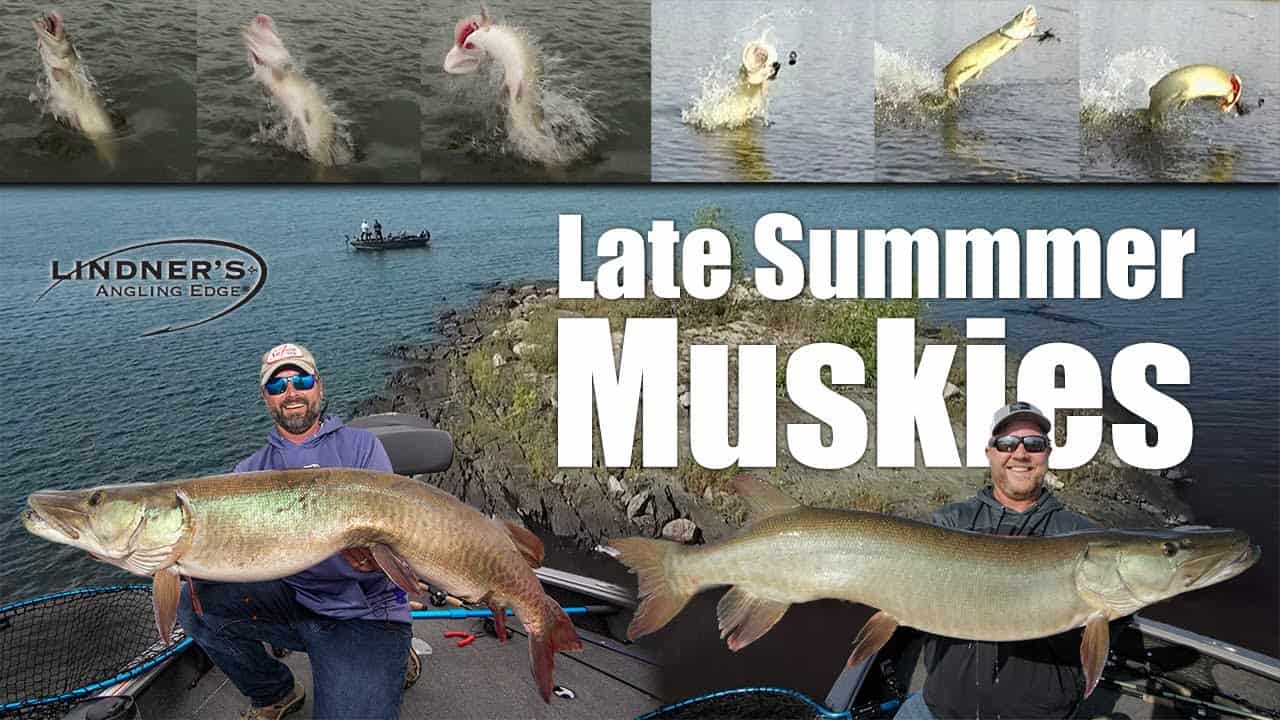 Late Summer Muskies