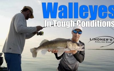 Walleyes In Tough Conditions