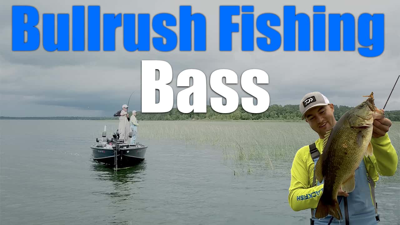 Bullrush Fishing Bass