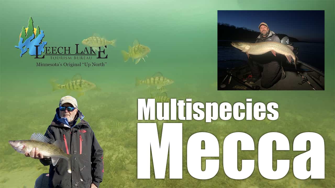 Leech Lake Multispecies Mecca