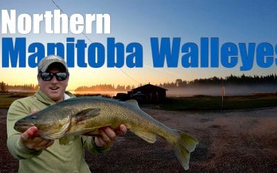 Northern Manitoba Walleyes