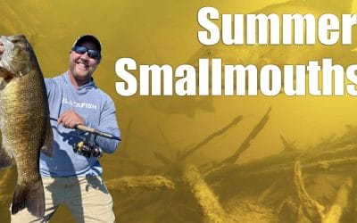 Finesse Factors For Summer Smallmouths