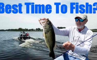 Best Time To Fish