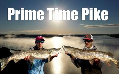 Prime Time Pike
